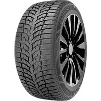 DoubleStar 205/55R16 91T Winterking DW08