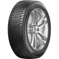 Fortune 205/55R16 94H Polaro Snow